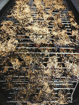 Close-up van gedroogd vlees met garlic kruiden